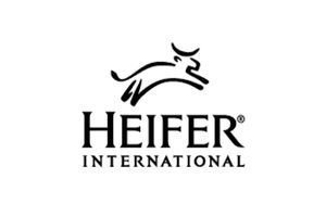 heifer.jpg