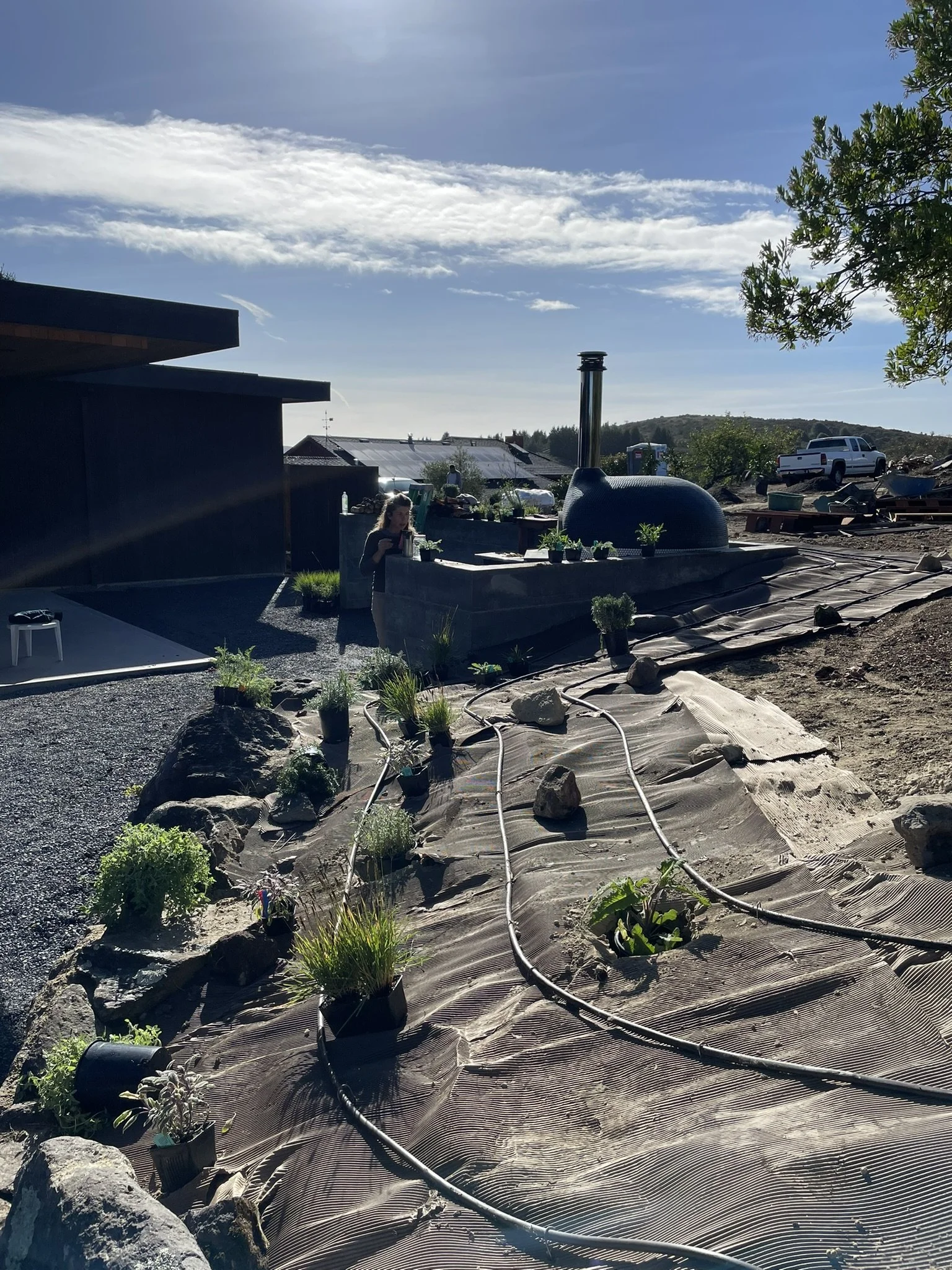 Plant layout above the stone retaining wall