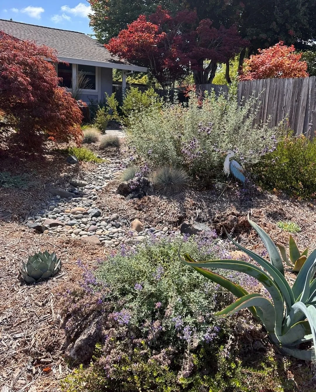 Falling deeper and deeper for this garden as it grows in π