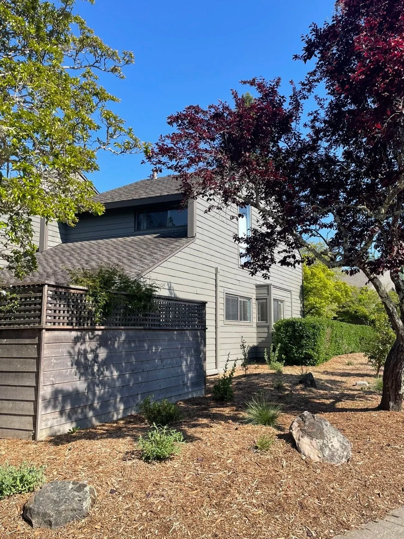 4" and 1gal plants will grow in to large bouquets and disappear the arbor mulch