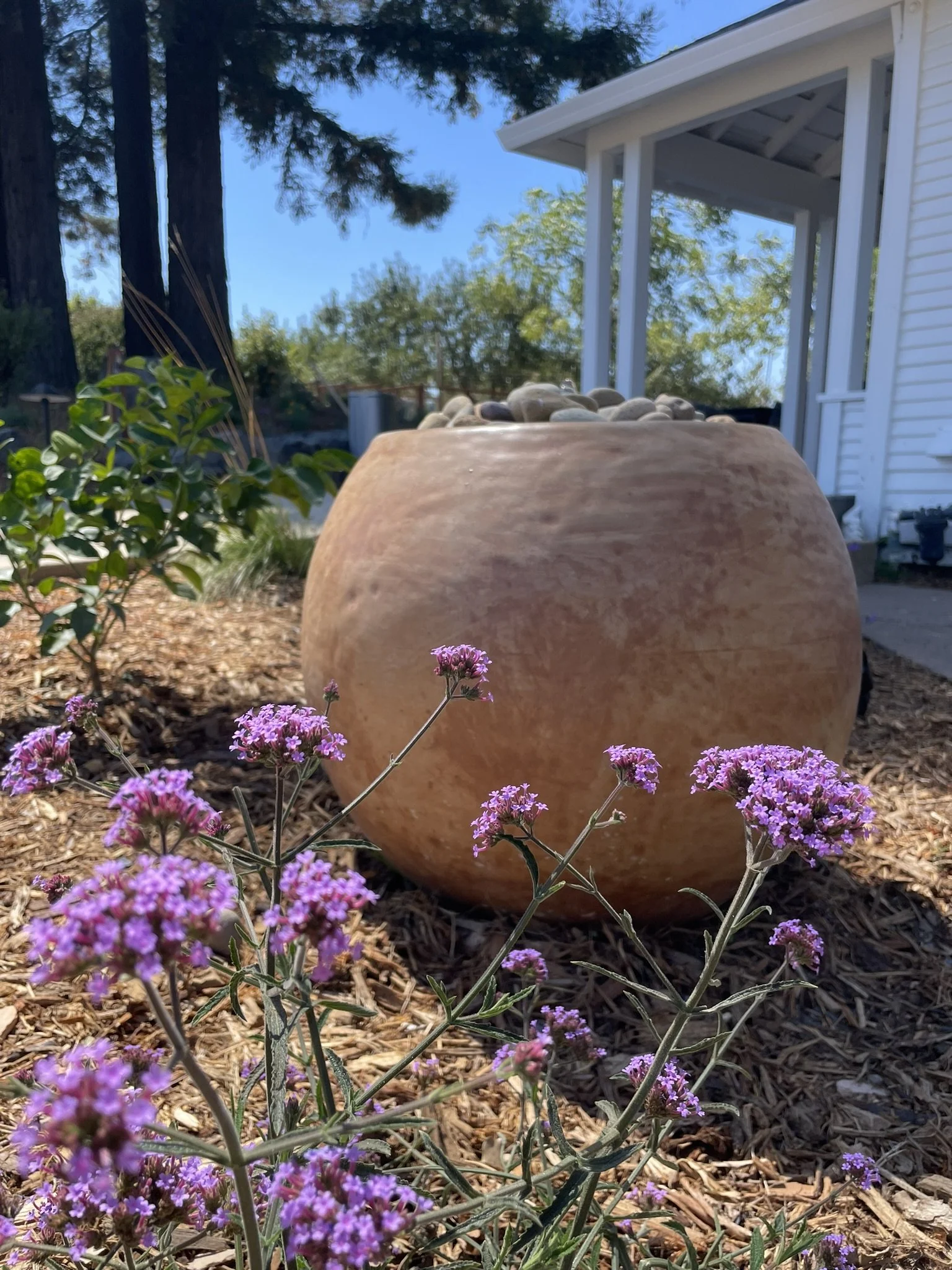 Gratitude Fountain and Verbena welcome visitors at the new outdoor patio entrance