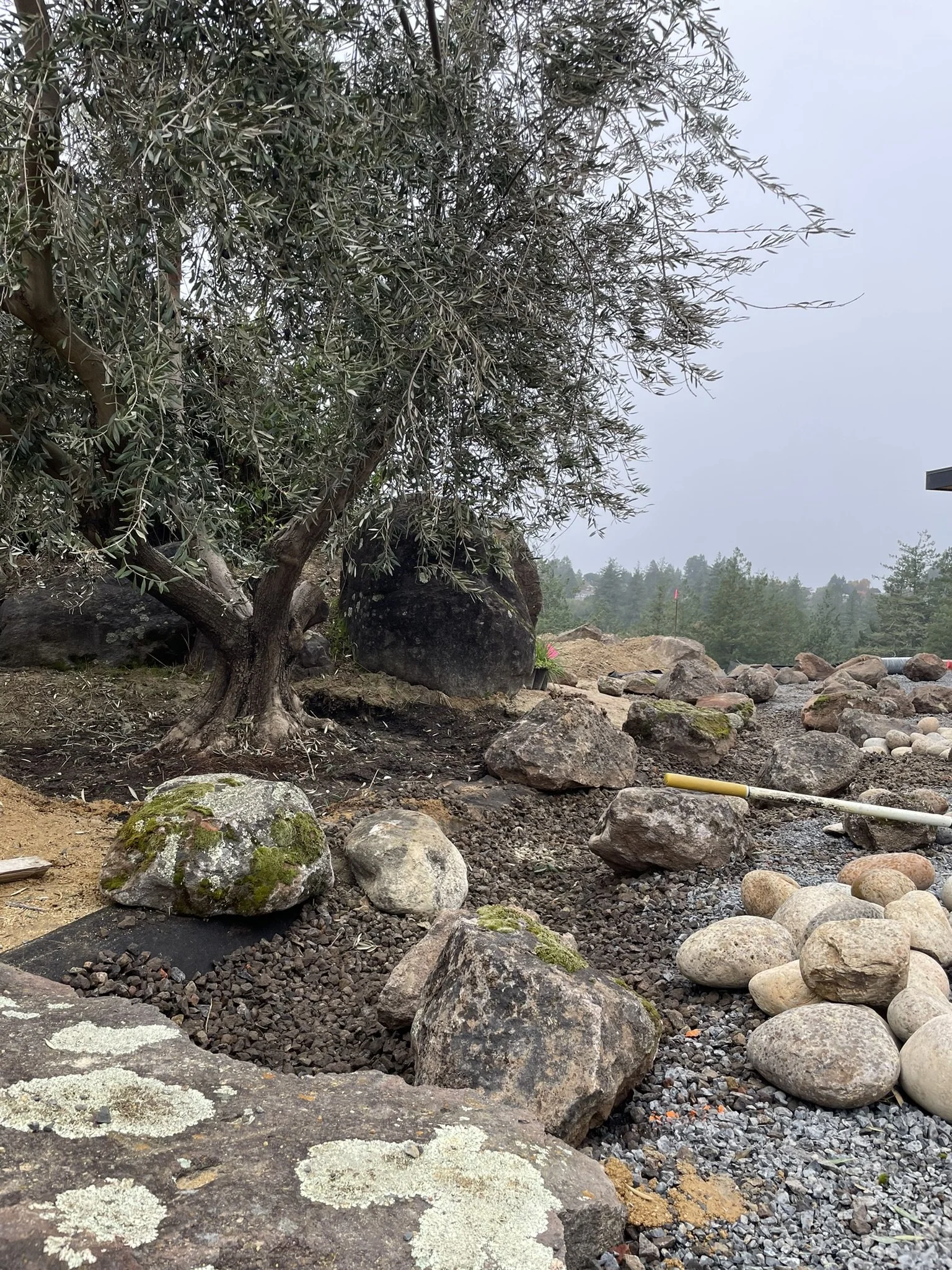 Dry creek construction post-olive tree install