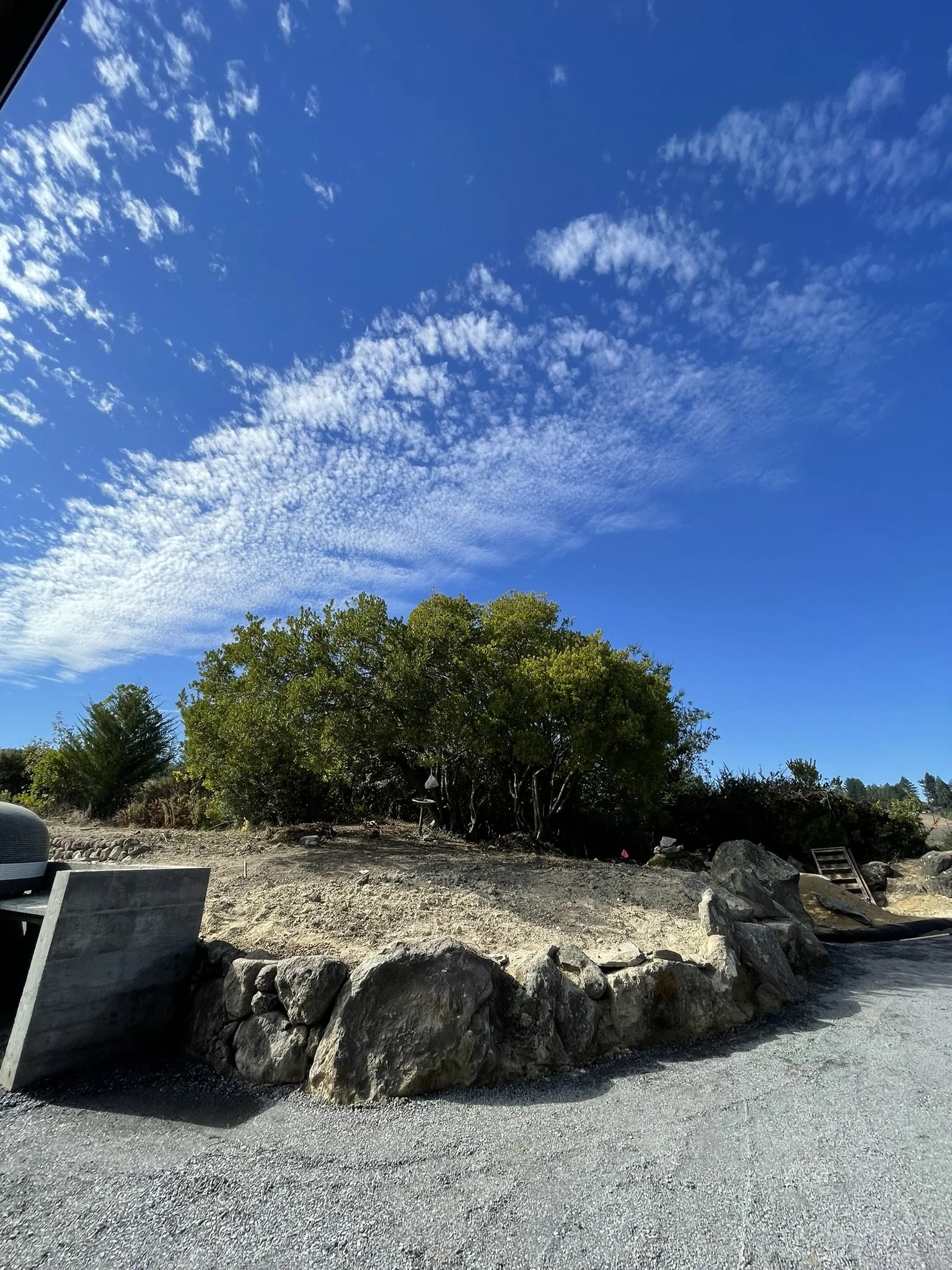 Photo during construction before planting and DG