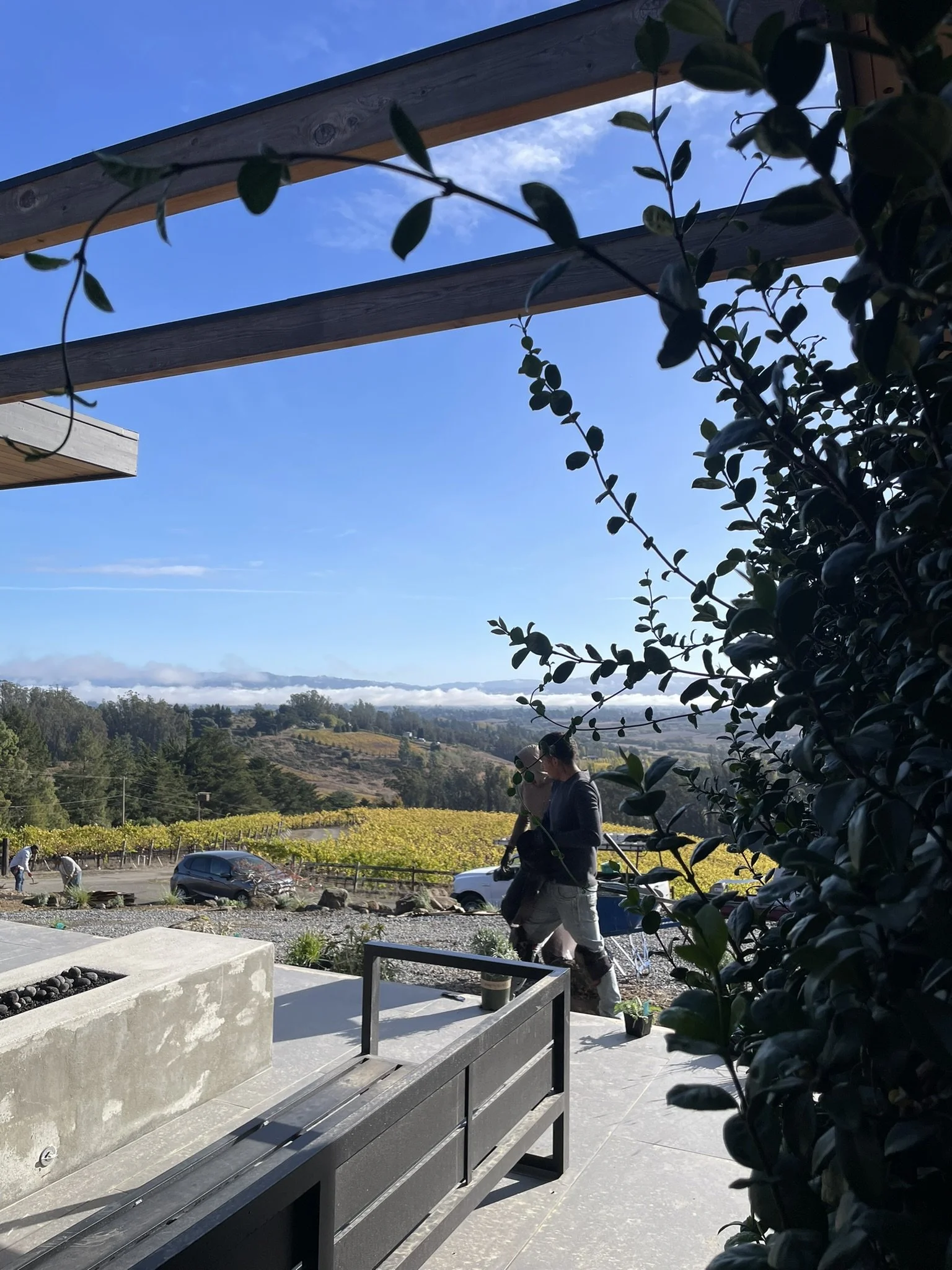 Long view from along the jasmine trellised wall