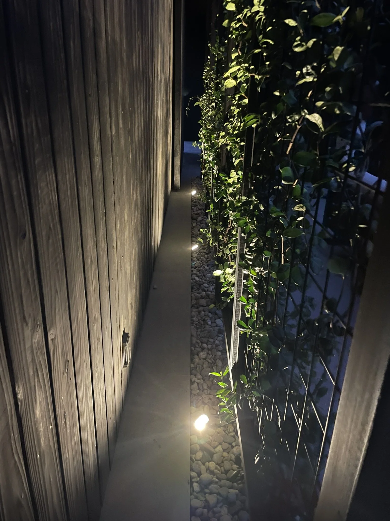 In grade lighting behind the Jasmine trellis for subtle dimension and ambiance