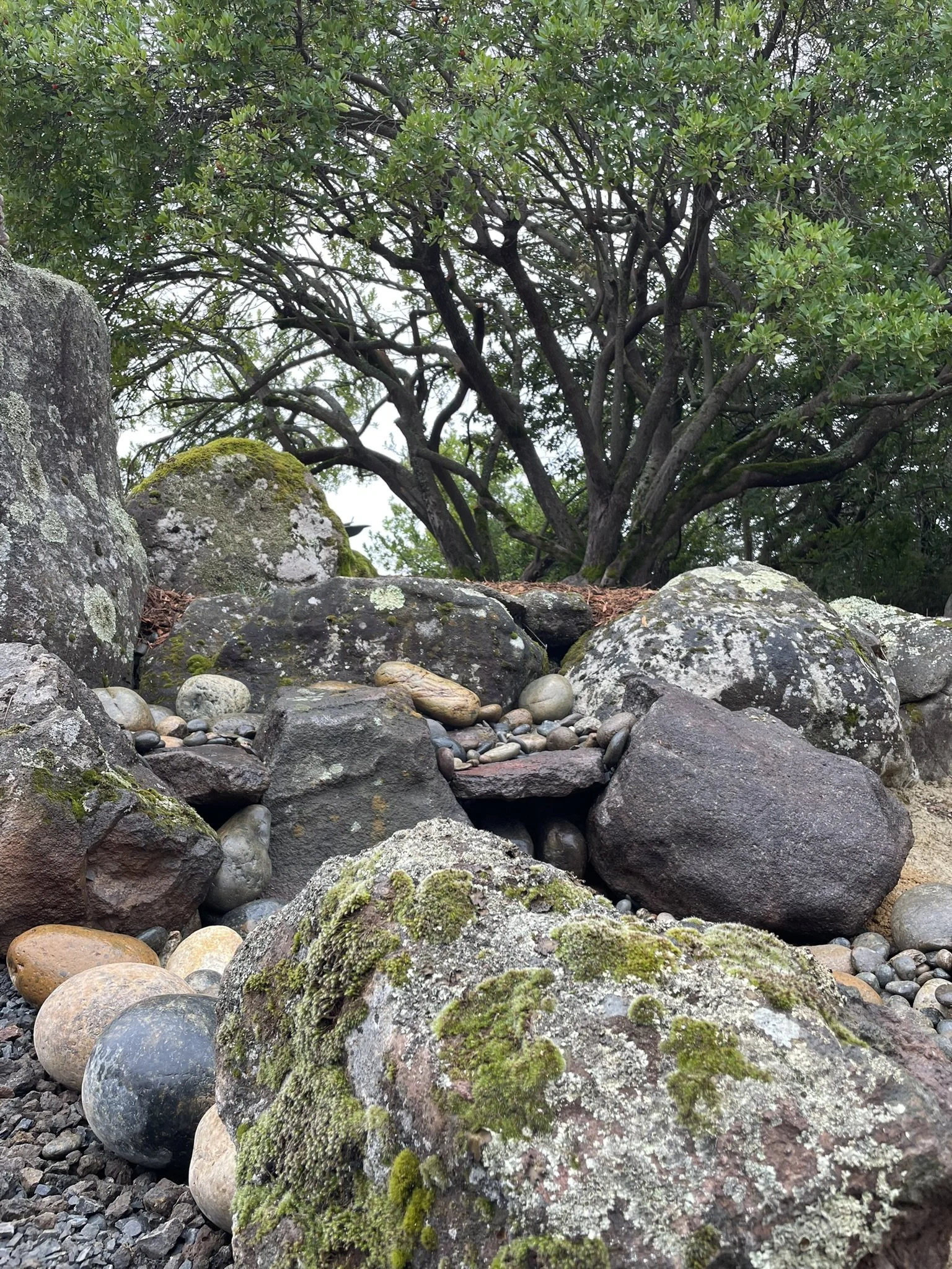 Boulders found on site used to convey stormwater runoff