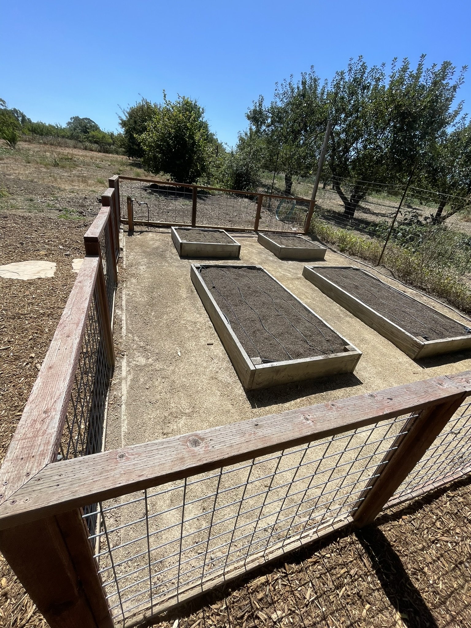 Unplanted veggie garden with drip irrigation on a hose end timer