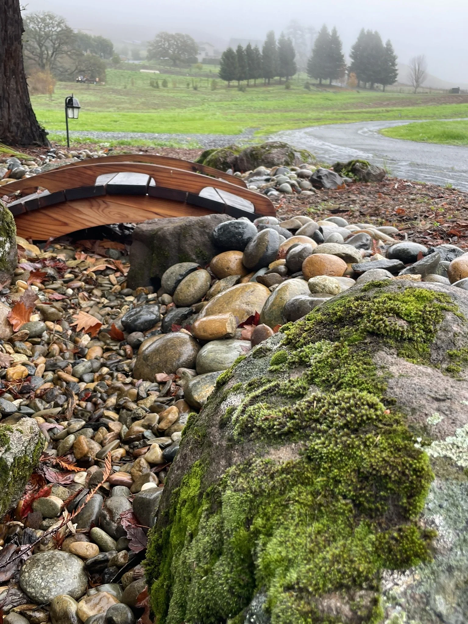 Seasonal dry creek capturing rain water and conveying it across the landscape to soak in. Handcrafted Redwood bridge crossing