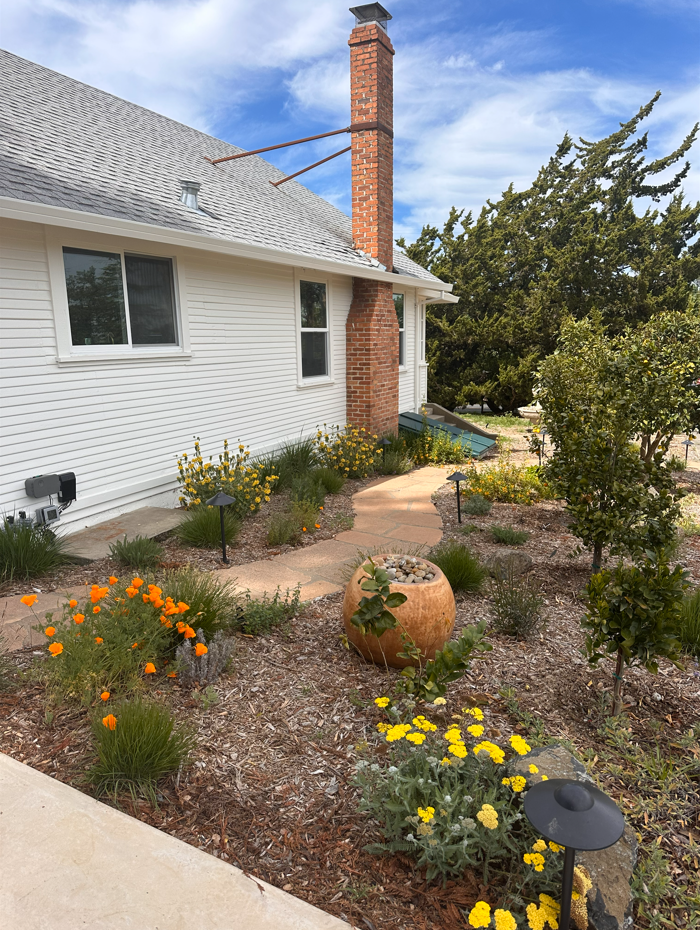 Pollinator plantings beneath the Citrus Row