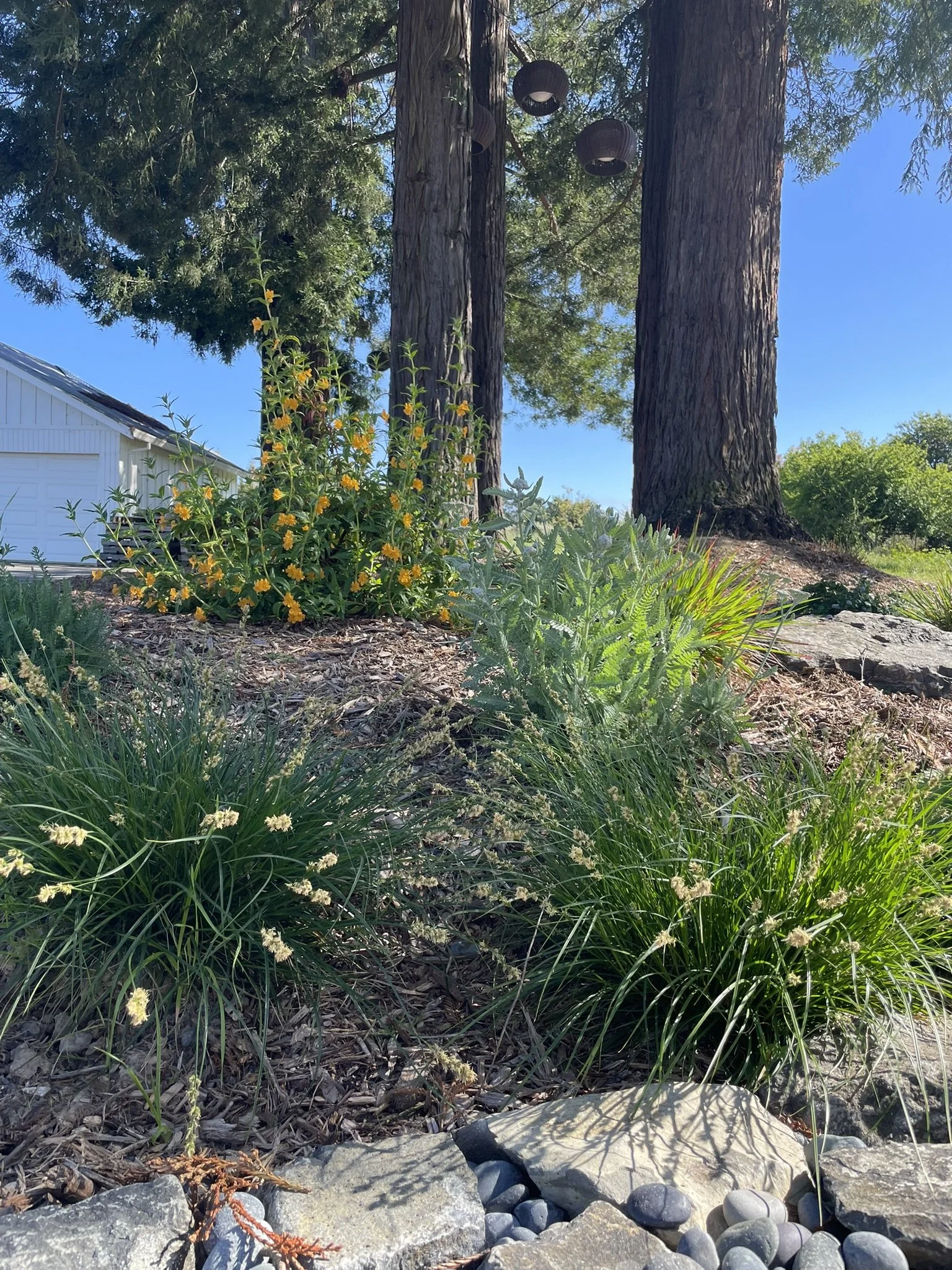 Planting above the retaining seat wall