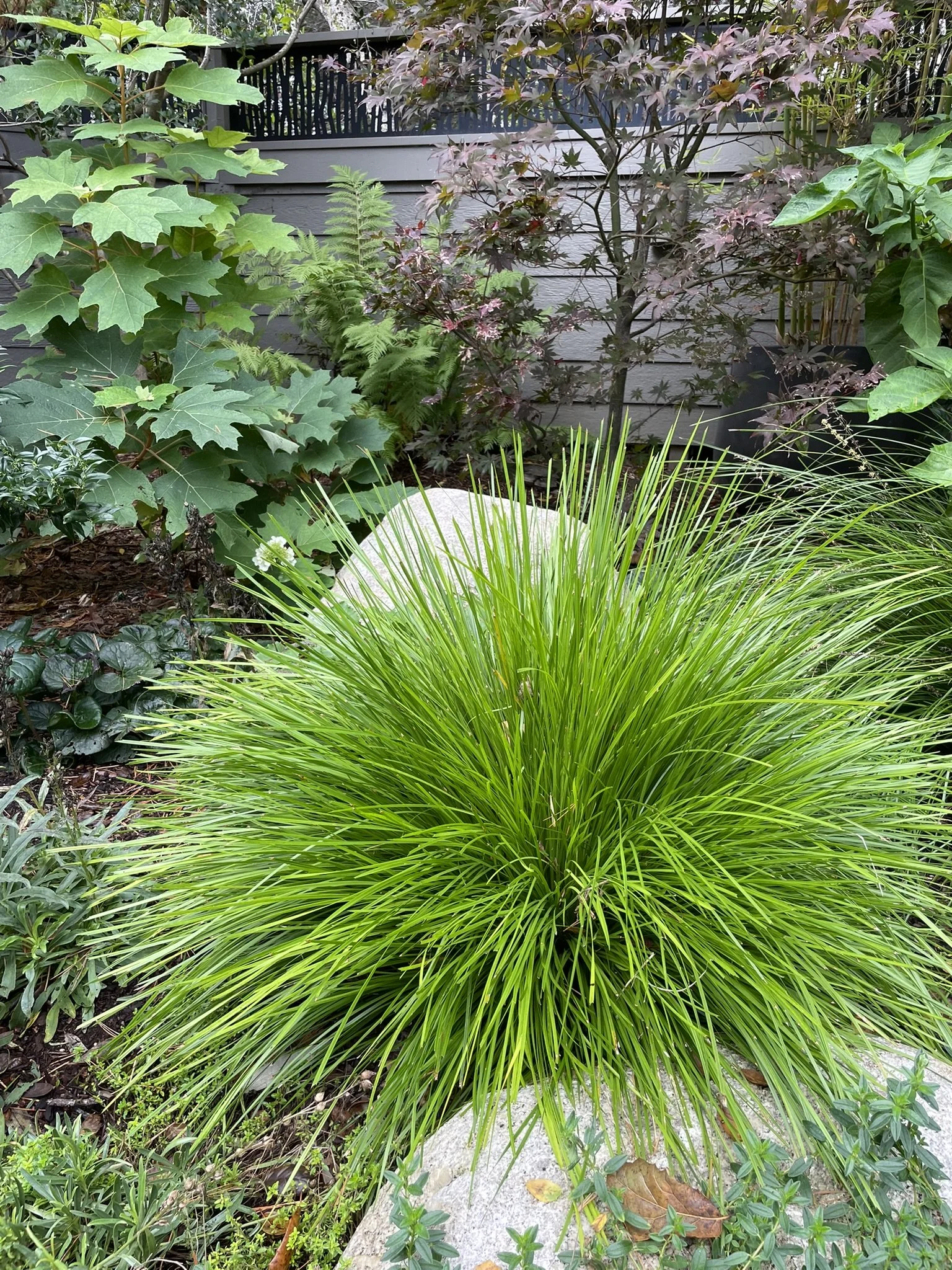 Coarse and fine textures delight the senses in the Inner Sanctuary garden