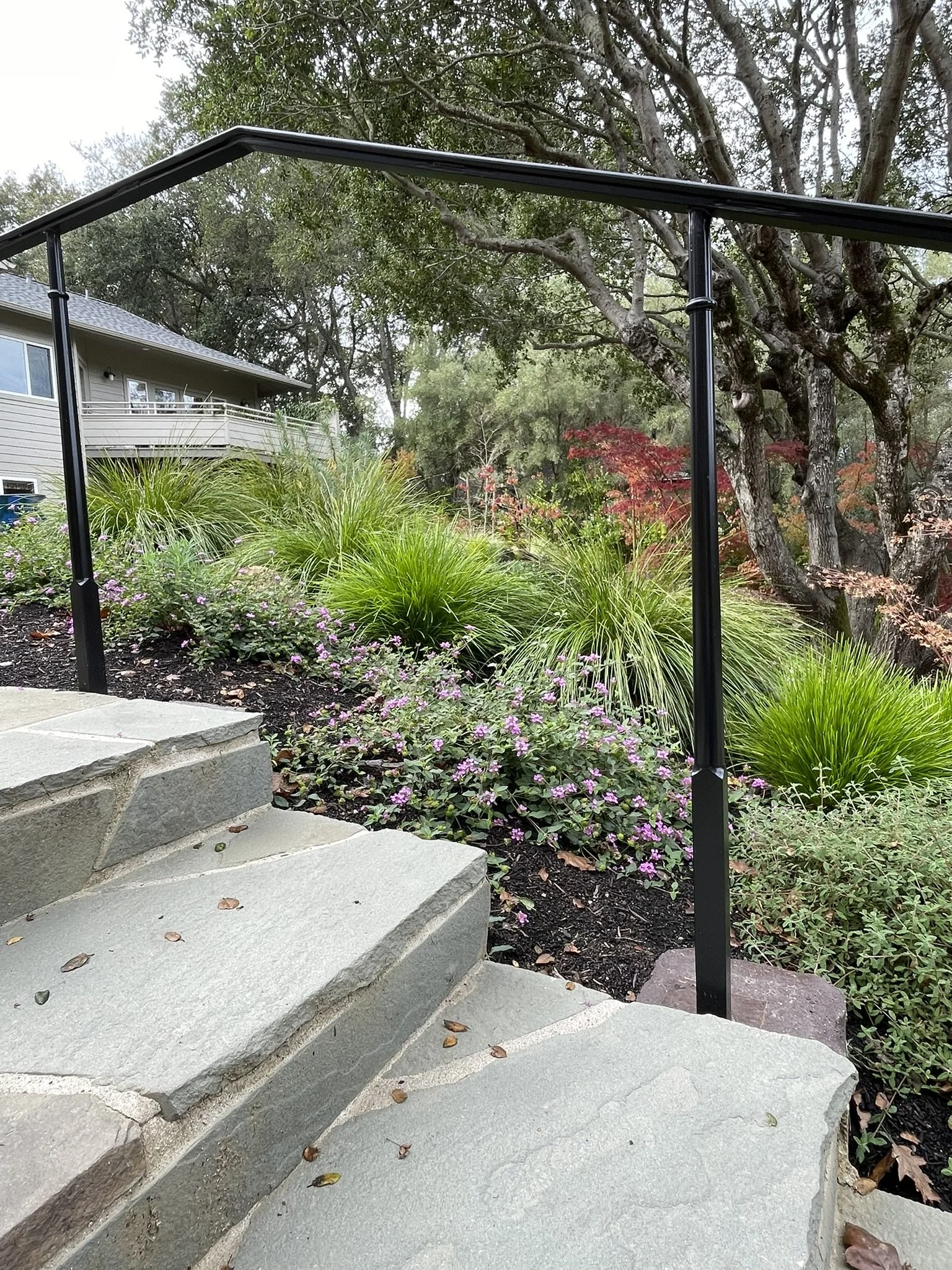 Layered plantings alongside the flagstone staircase leading from the home to the pool.