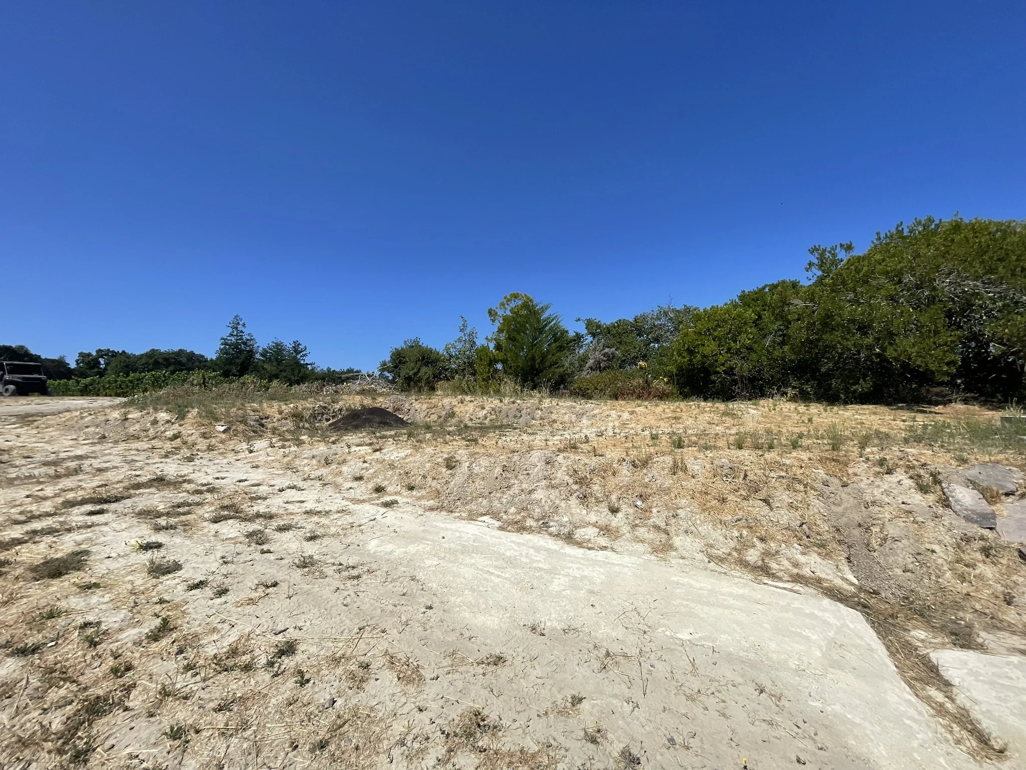 "Before" photo of the site of the culinary garden before installation
