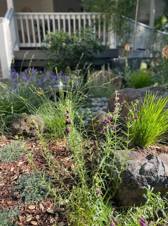 Soft plantings alongside the main entrance are layered with low groundcovers, blooming perennials, and woody evergreen shrubs to add privacy for the front porch