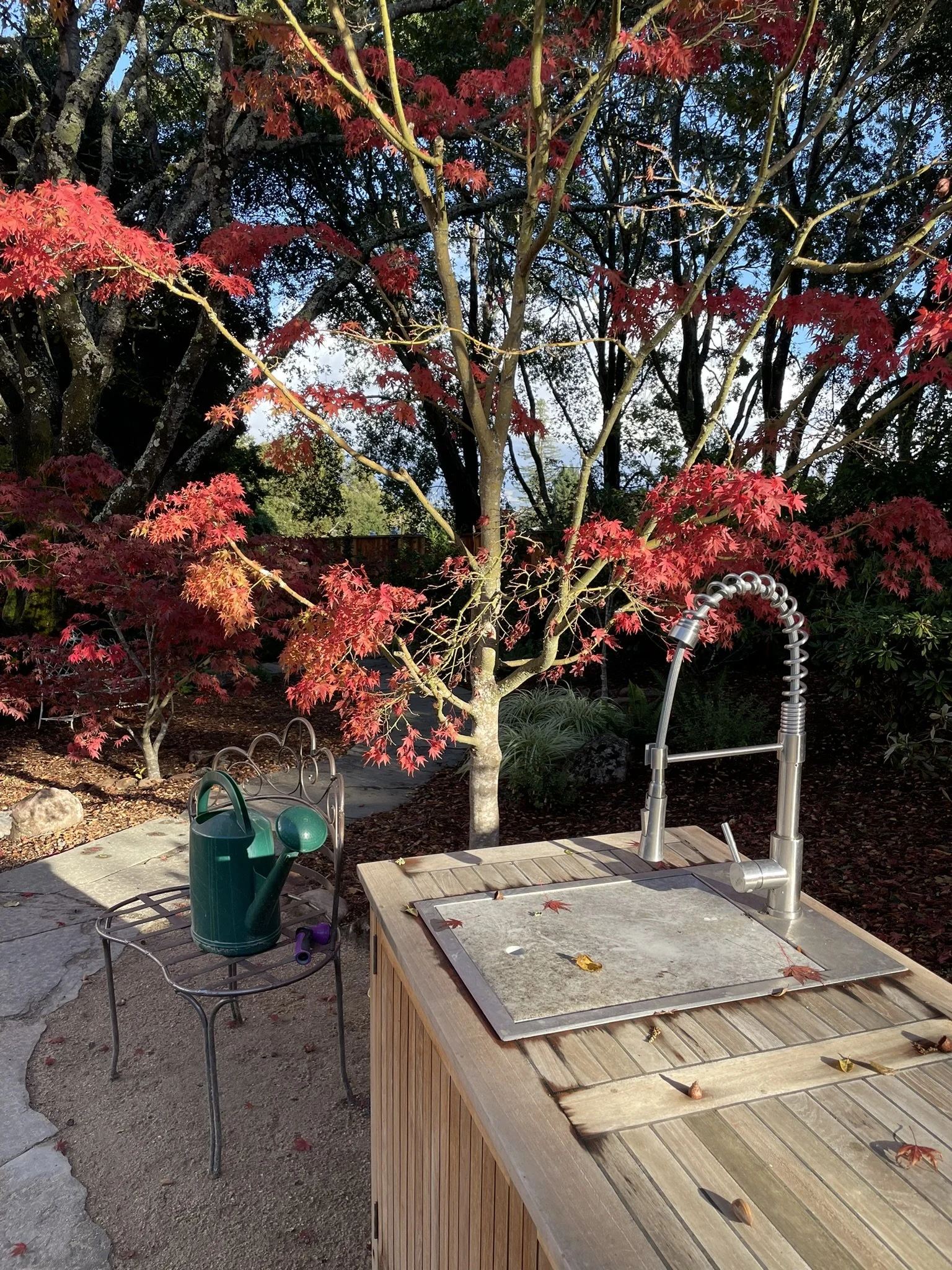 Custom teak processing table featuring an outdoor sink make cut flower harvesting a breeze