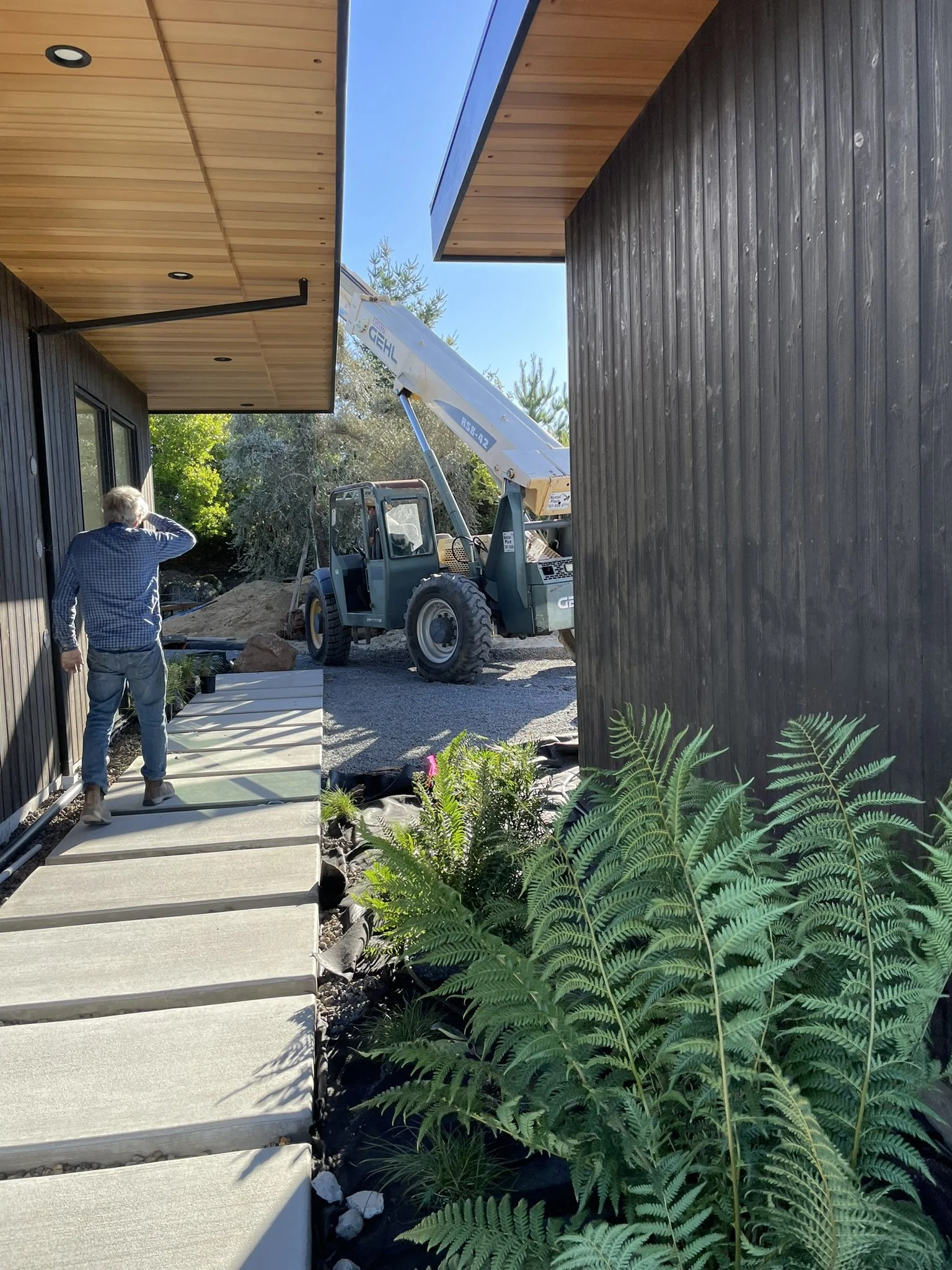 Heavy equipment needed to install mature olive trees 