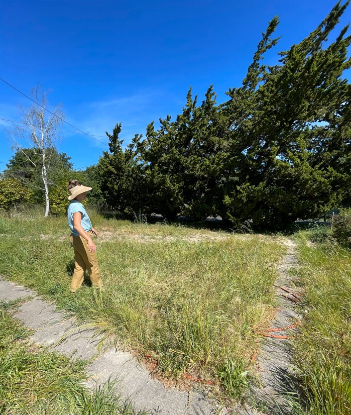 Before photo as Kelsi assesses the front meadow and drainage