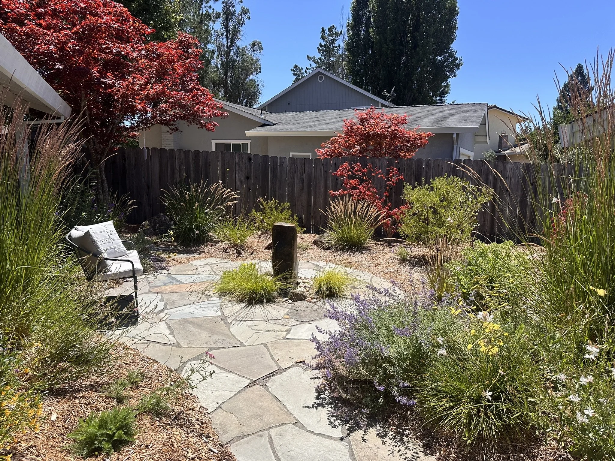 New front garden hitting it's stride in May with many pollinator plants beginning to bloom