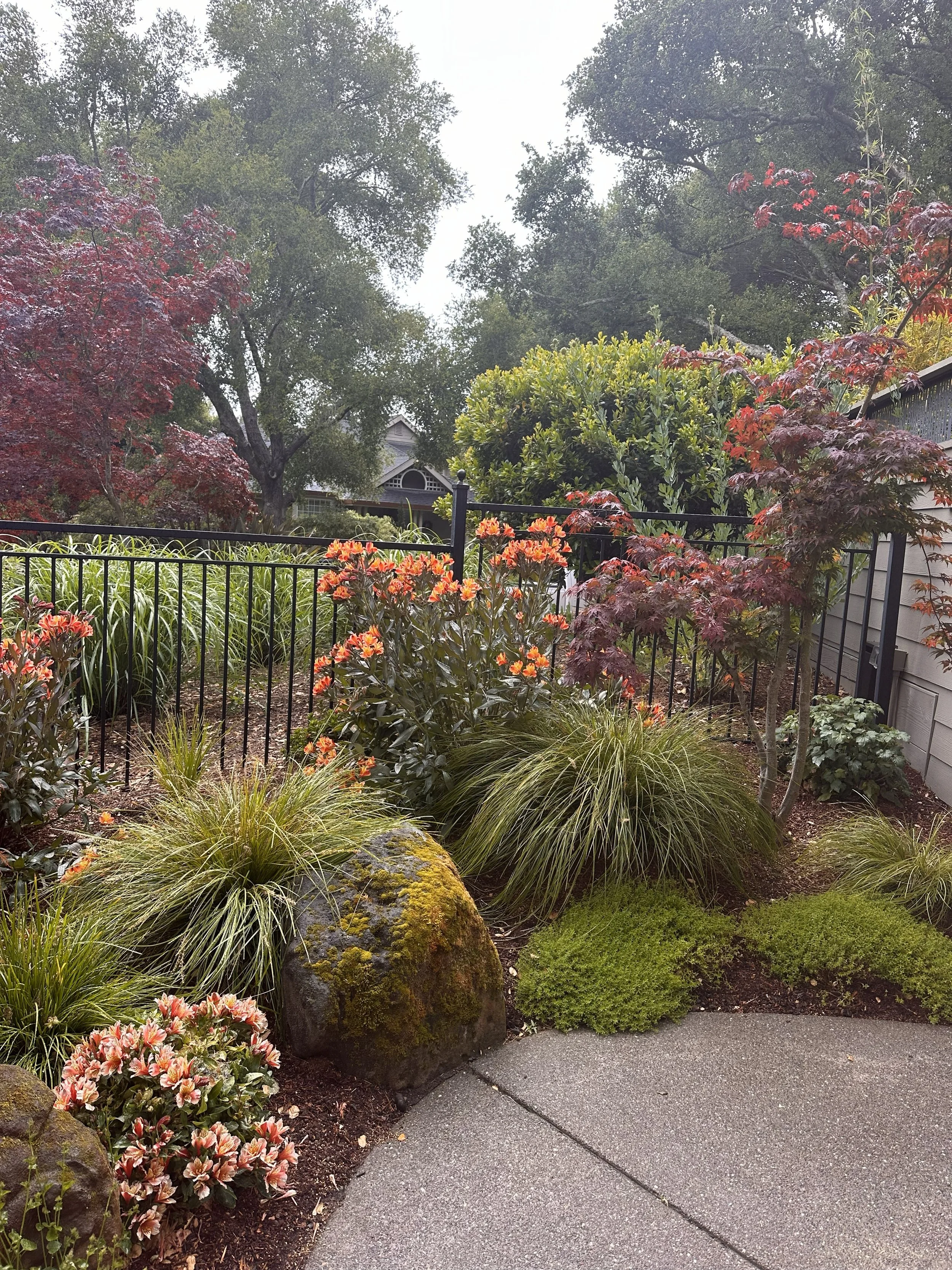 Corner garden leading from the driveway to the private Inner Sanctuary Garden