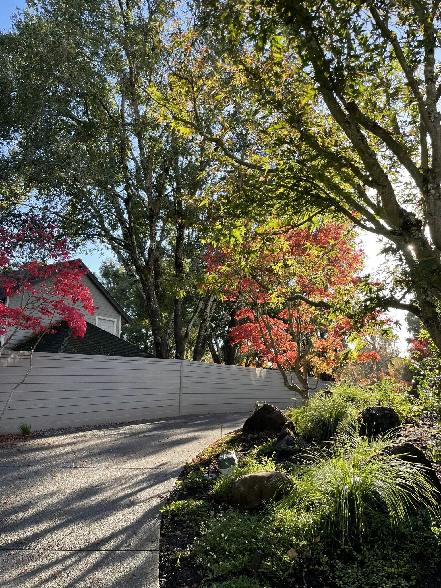 A welcoming driveway entrance draws visitors in and hints at the garden setting to be discovered. Beautiful Valley Oaks provide a dappled overstory