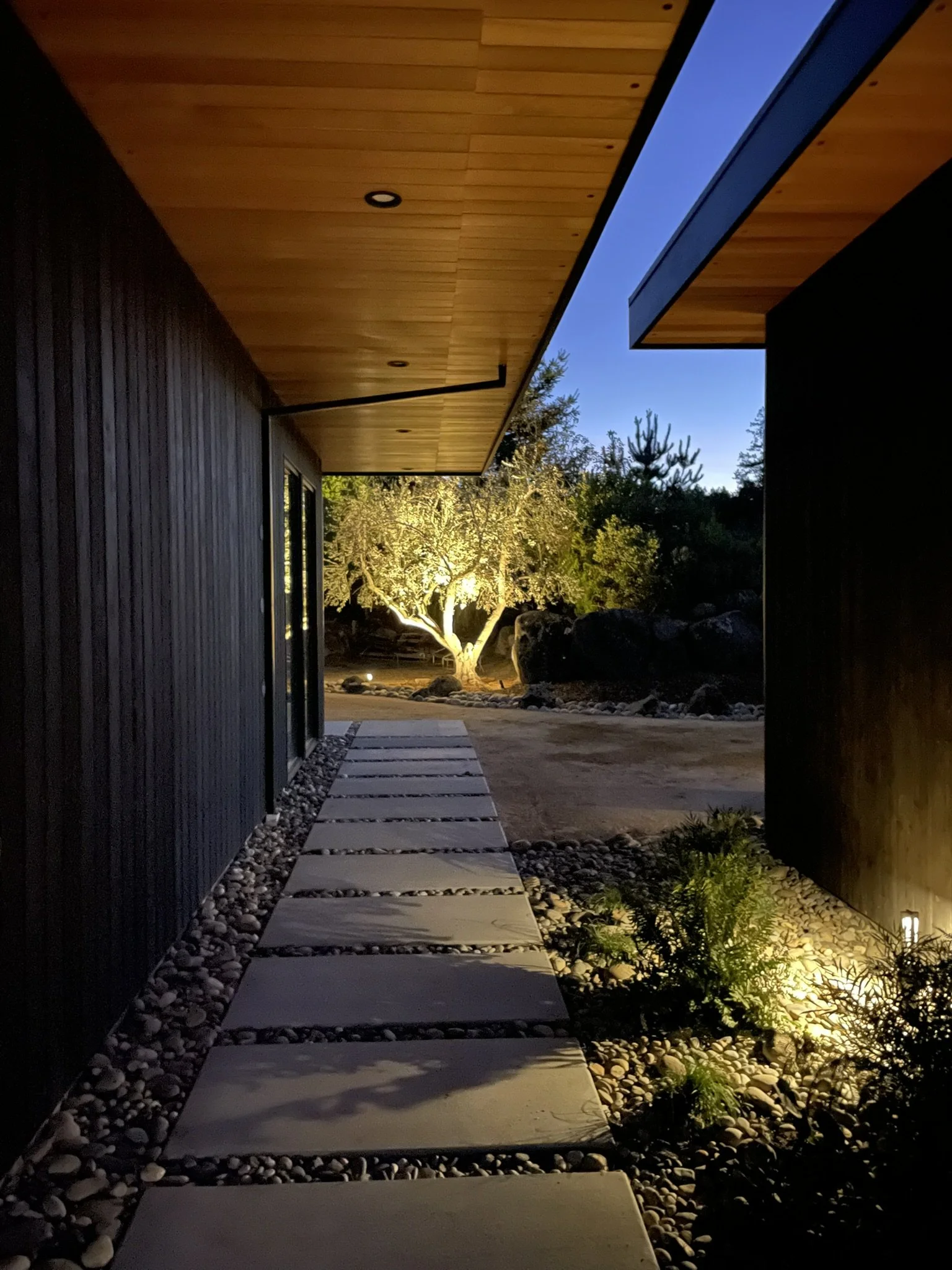 Poured concrete pathway between the cabana and main home. Olive tree illuminated beyond