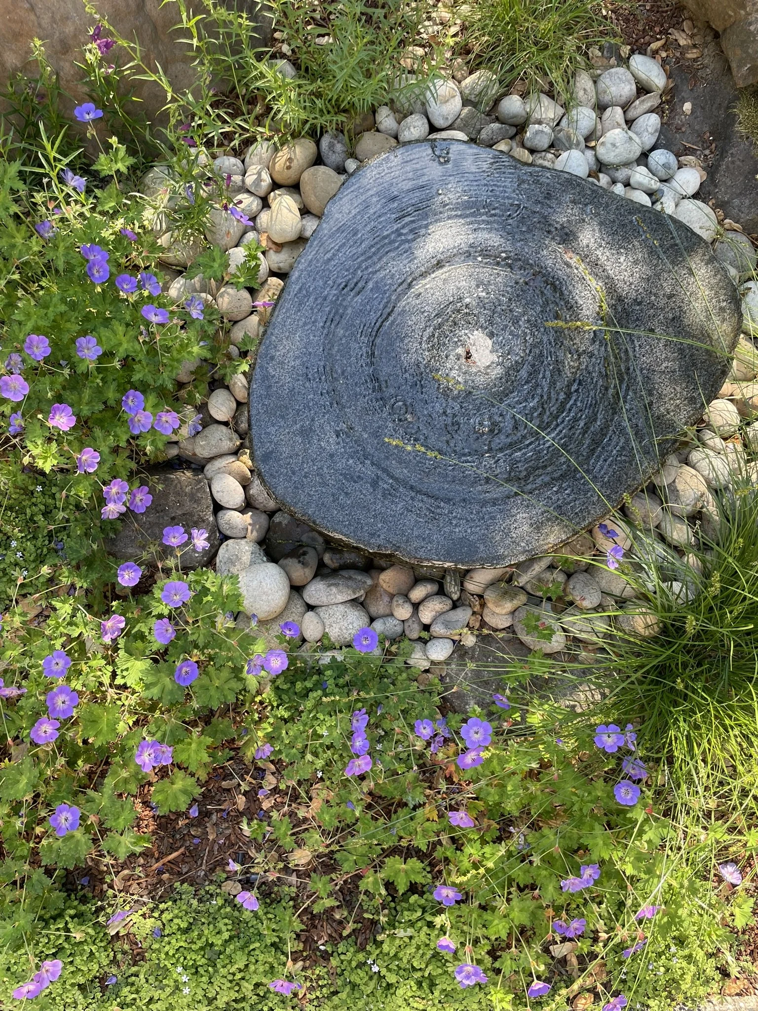 Pondless pollinator fountain