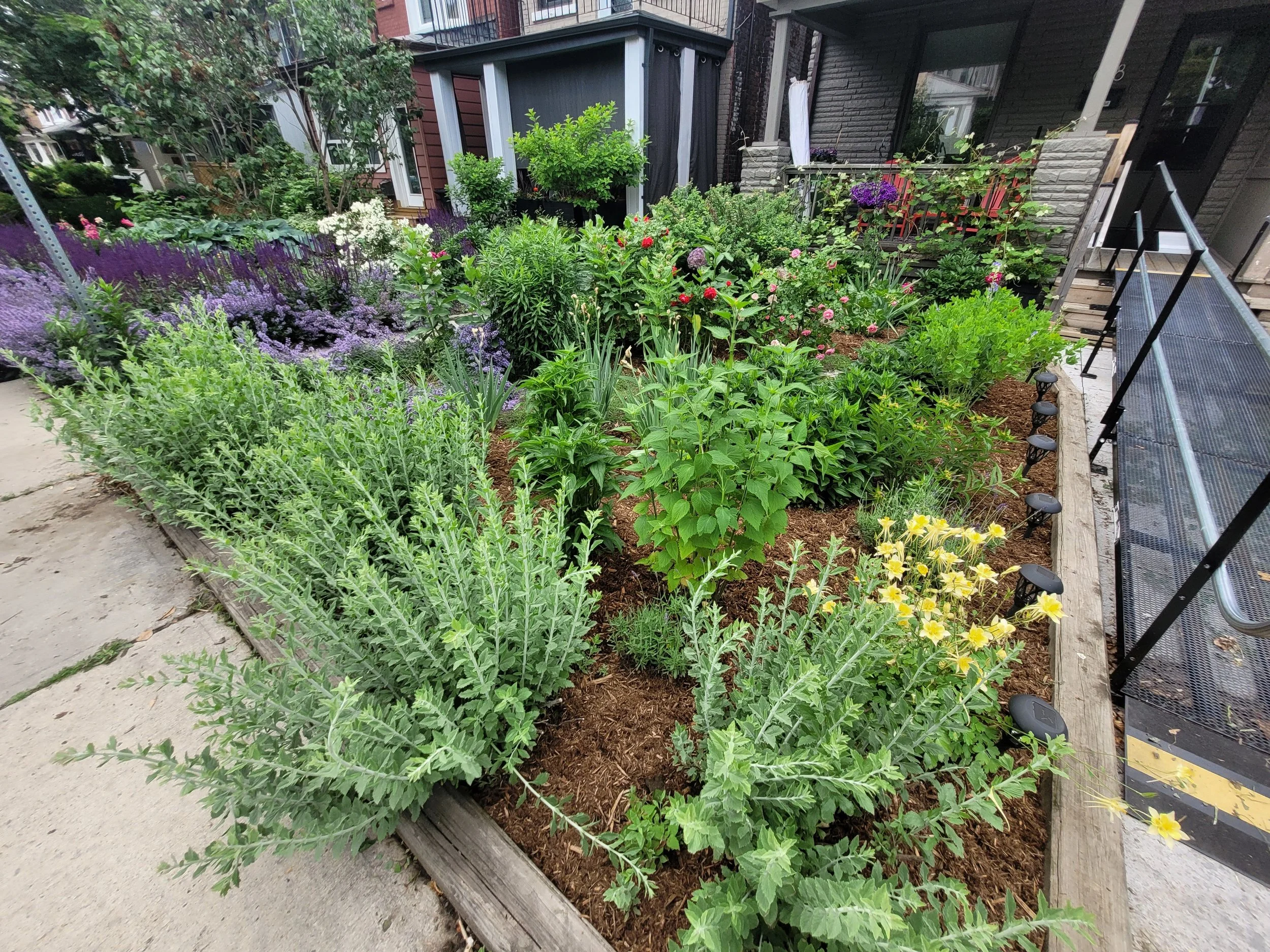 Sustainable Landcaping Company 