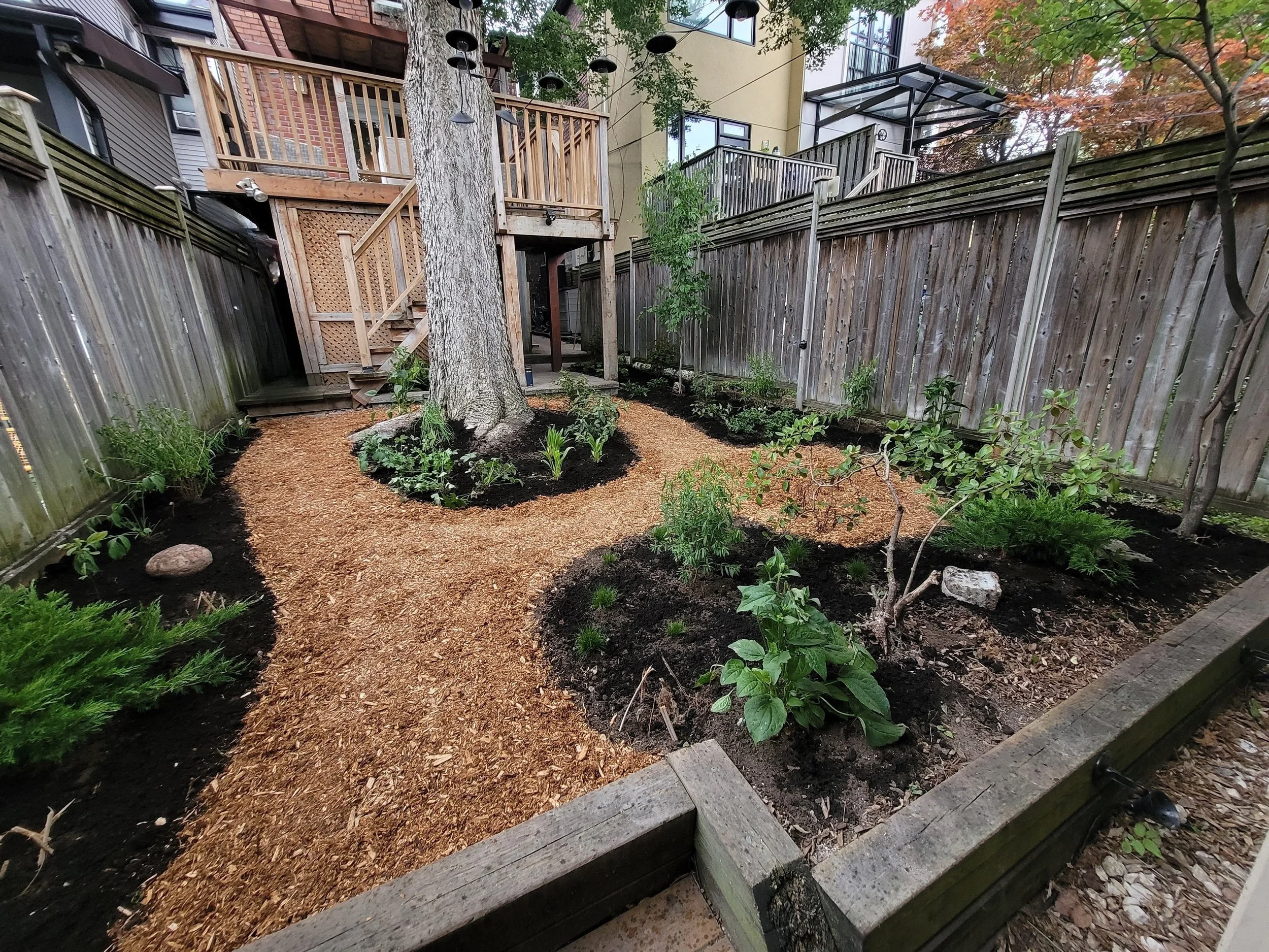 Riverdale | Native plant garden design; low-maintenance backyard makeover