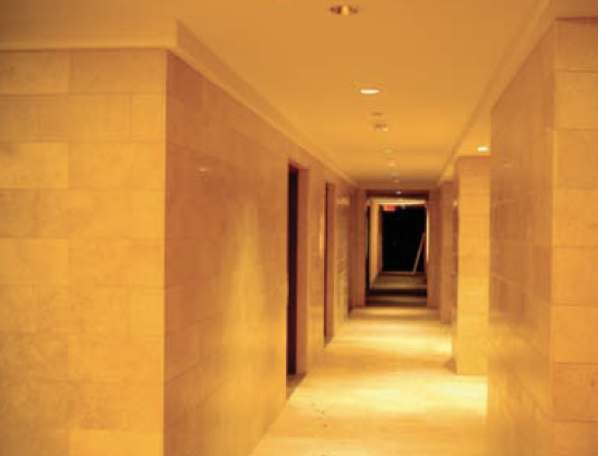 Screen Shot 2023-11-29 at 1.38.46 PM.png