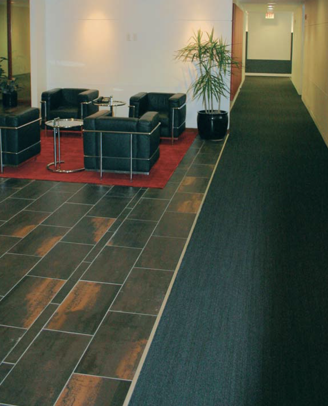 Screen Shot 2023-11-29 at 2.45.50 PM.png