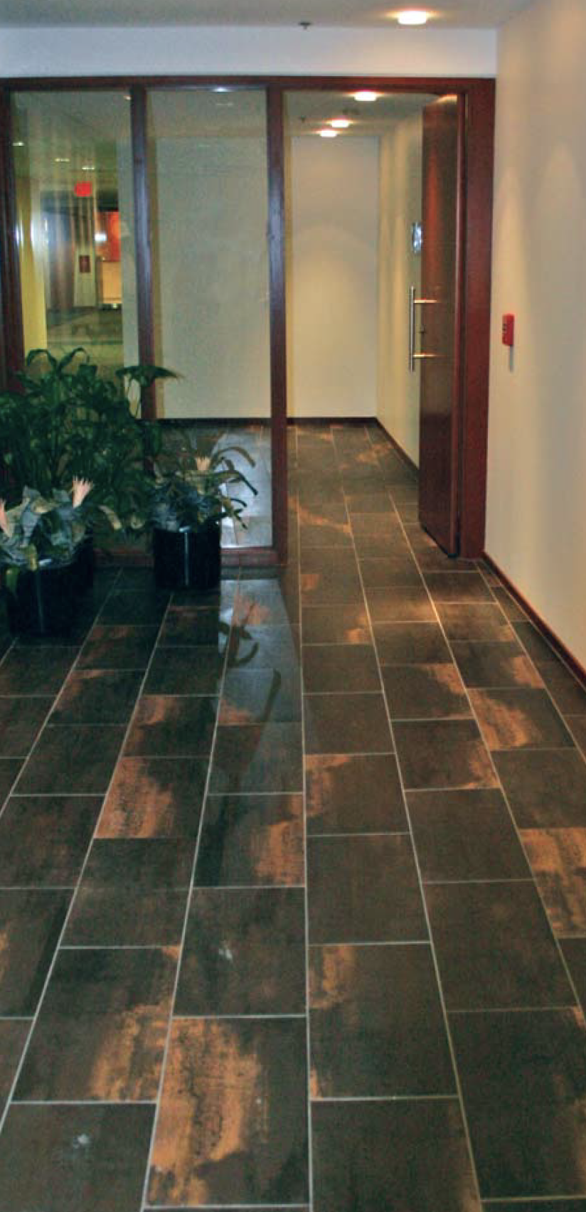 Screen Shot 2023-11-29 at 2.45.34 PM.png