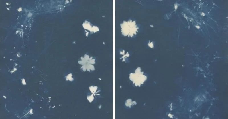 6 Antidotes for Teachers in Dark Times