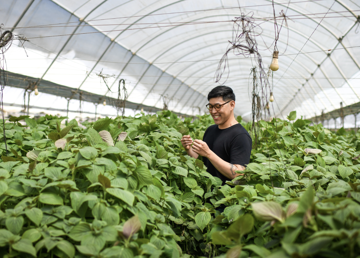 San Francisco’s Saison Has the Culinary Experience Down to an Art | Cultured Magazine