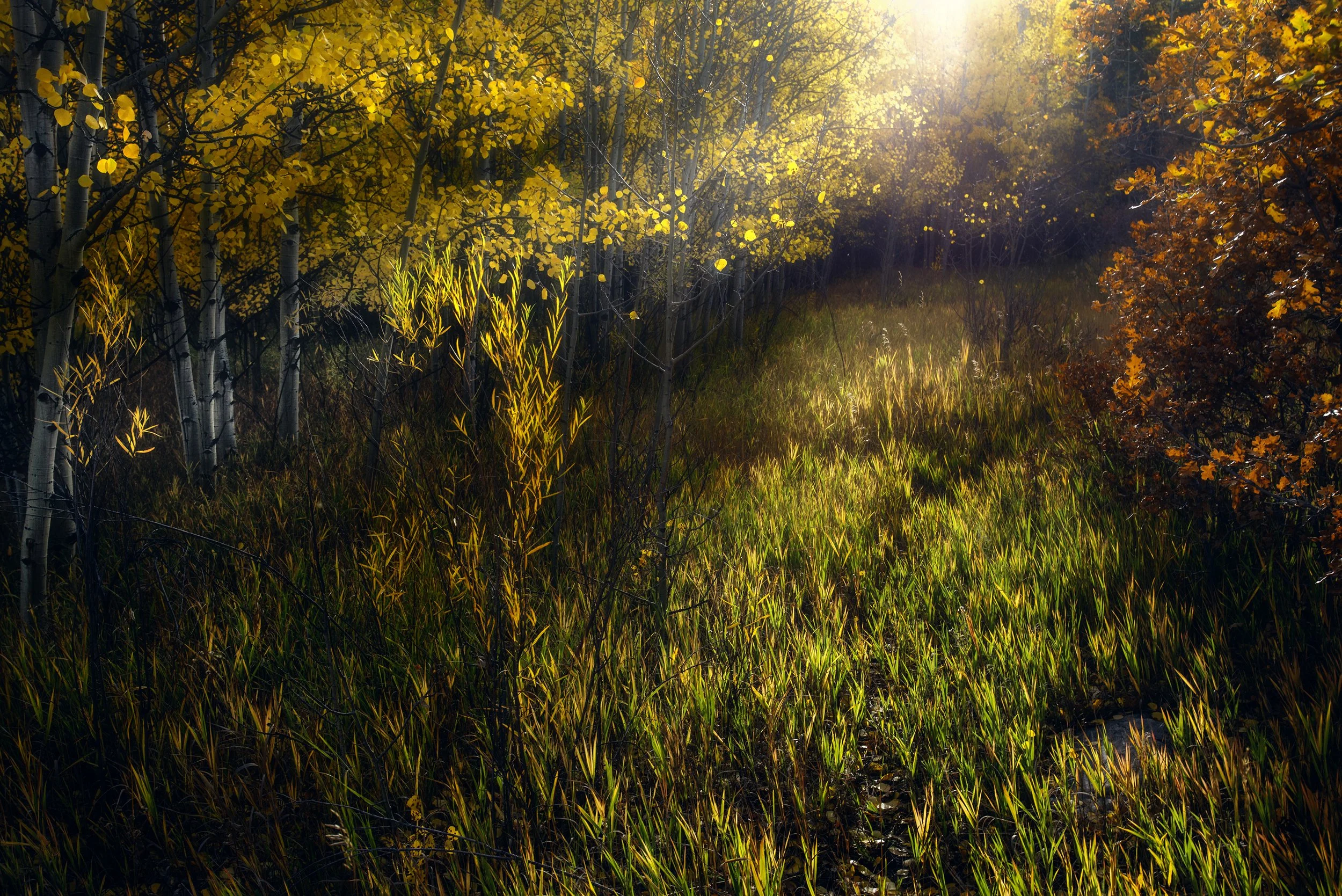 Sunlight Magic Atmospheric copy 150ppi.jpg