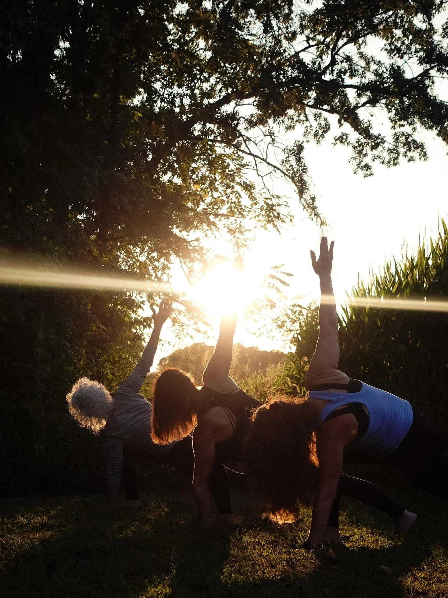 4 week Beginner Series with Kim 
Sunday&rsquo;s 1:45-3pm
January 25th to February 15th 

New to yoga? Or craving a stronger foundation?

This workshop is designed for beginners and curious movers who want to better understand alignment, structure, an