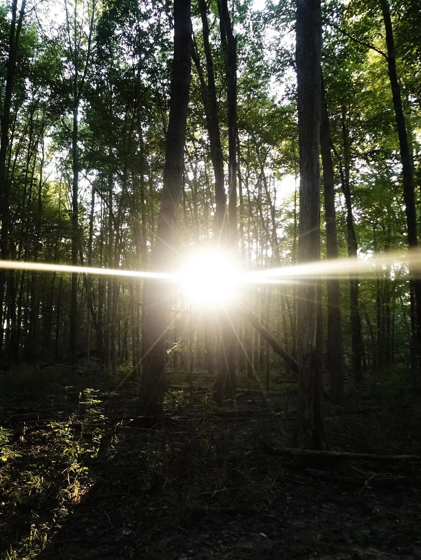 An invitation to return home to yourself 

5 Elements Workshop with Kim 
Saturday, March 7th 3p-5p

This immersive workshop weaves movement, reflection, and creative ritual through the wisdom of the five elements&mdash;earth, water, fire, air, and et