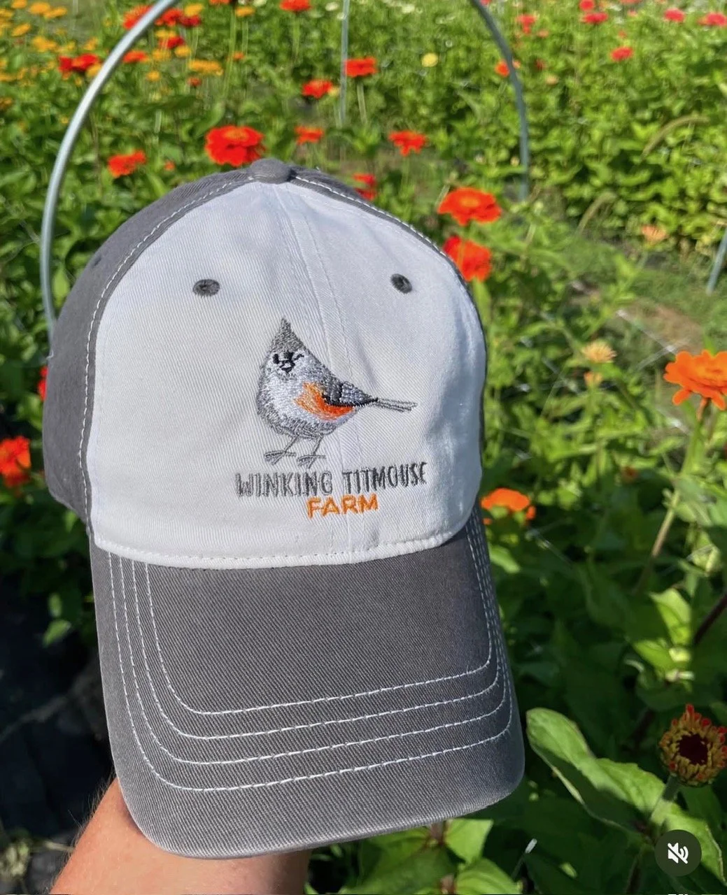 ballcap.jpg