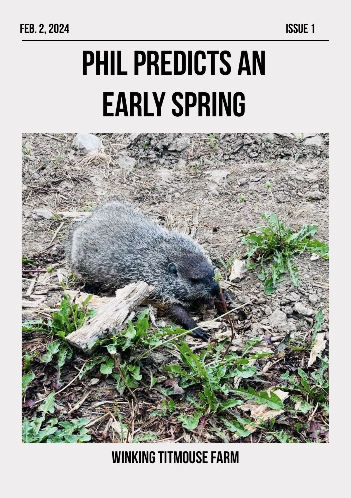 Happy Groundhog Day