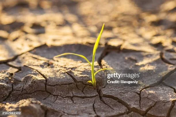 The Truth About Endings