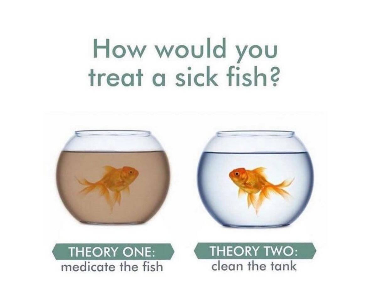 Find out all about how to change the water in the tank !  Lifestyle is medicine &hellip; join us on our 21 day science-based whole person reset. 

Sign up 
- link in the bio 
- https://www.realwellth.health/spring-to-wellth

#healthreset
#21dayreset
