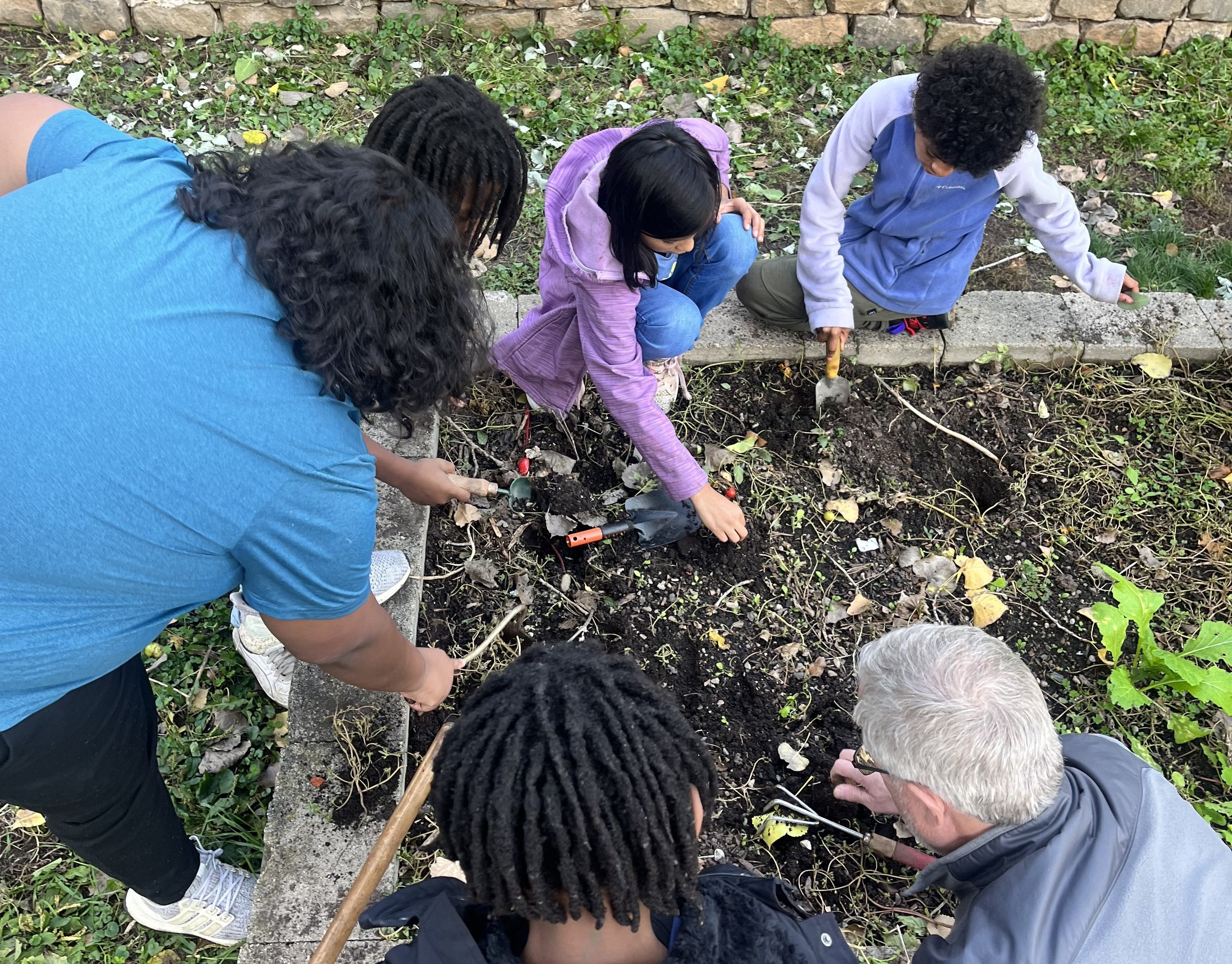    At Skidmore Community Garden, students took a tour of the garden; taste-tested different plants; and revisited their assigned plot to help prepare it for the upcoming winter!   