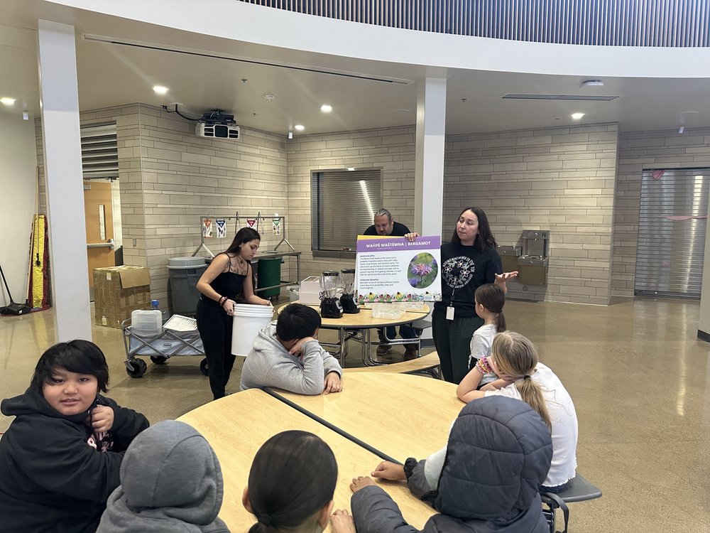 IMG_7631 2024-03-06 14_44_12.jpeg