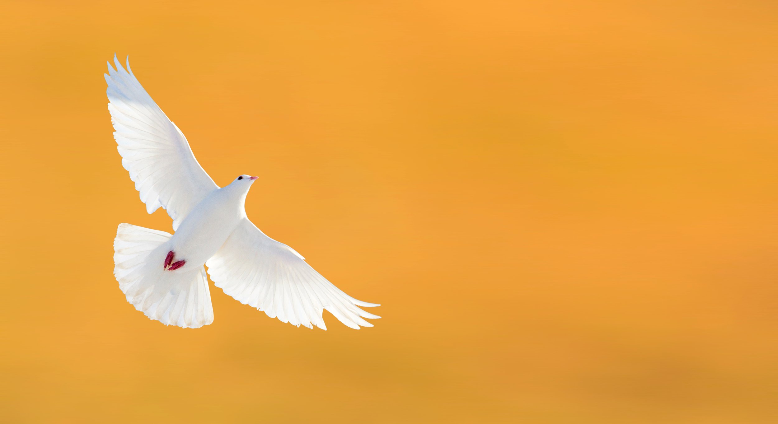 Peace Within My Soul