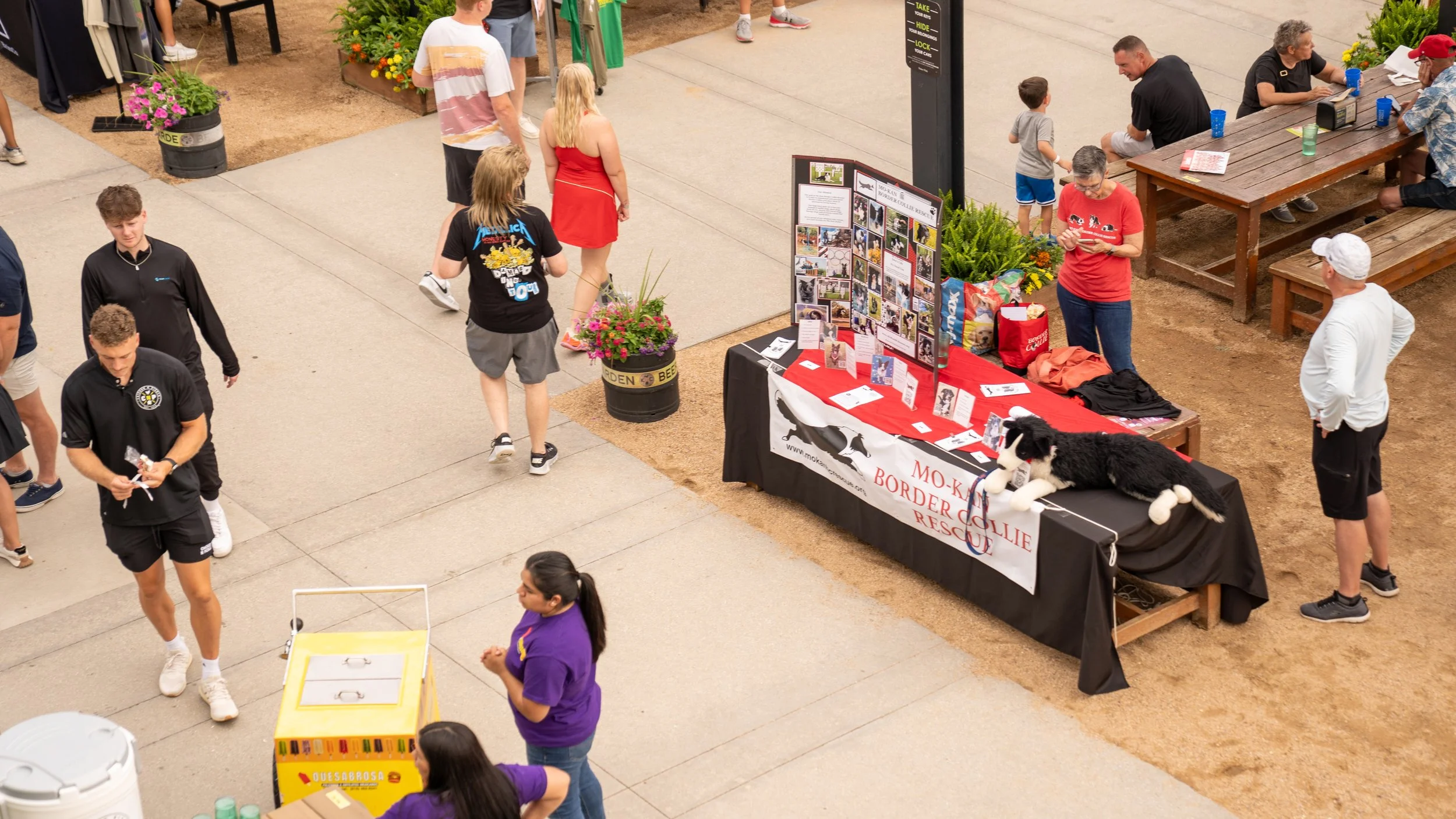 An outdoor scene at an event with several people walking and sitting. There is a booth with a red tablecloth displaying photos, flyers, and a plush black and white border collie stuffed animal. The booth has a banner for Mo-Ka Border Collie Rescue. S