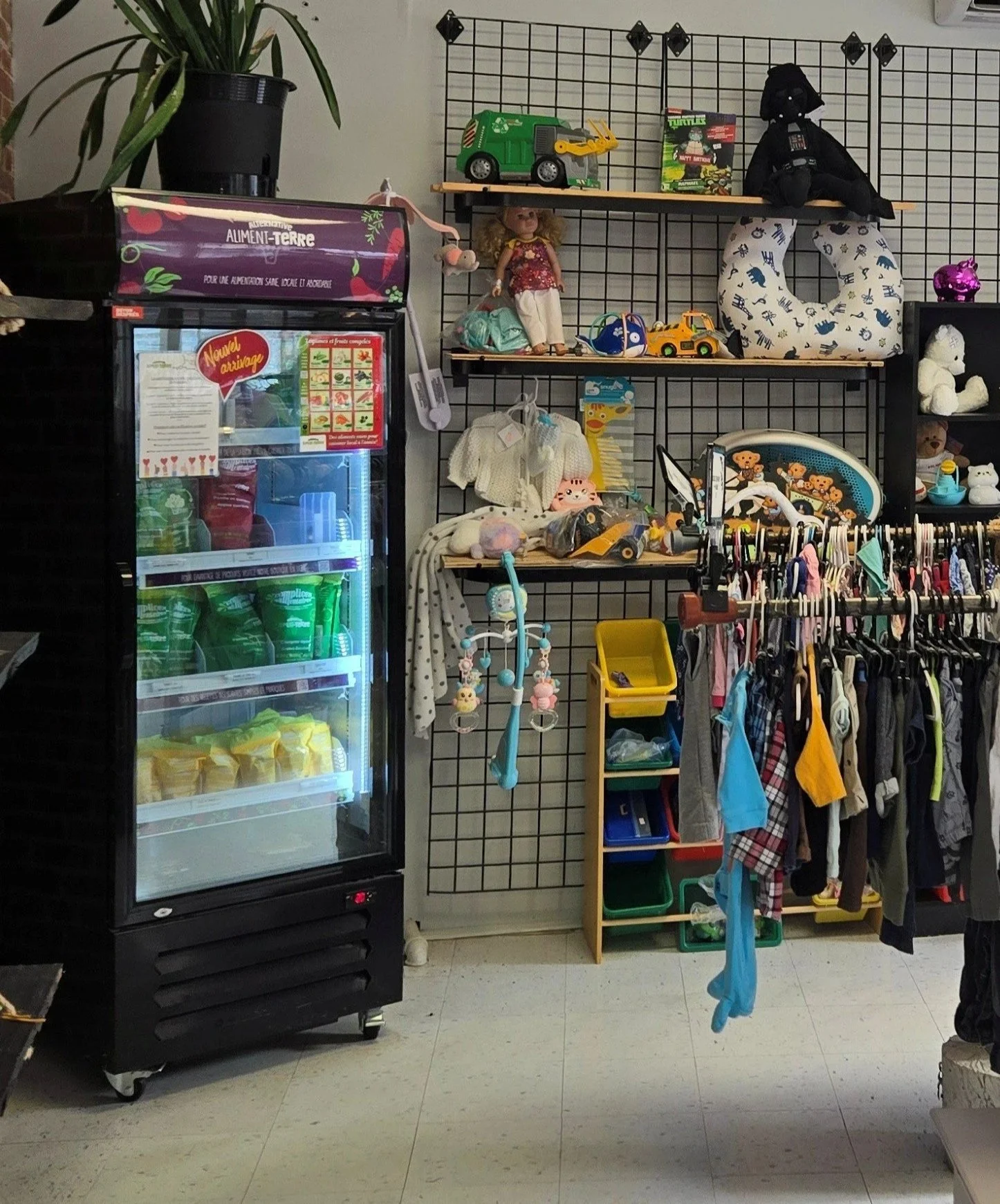 Congelateur Aliment-Terre placé dans un coin de la boutique familiale