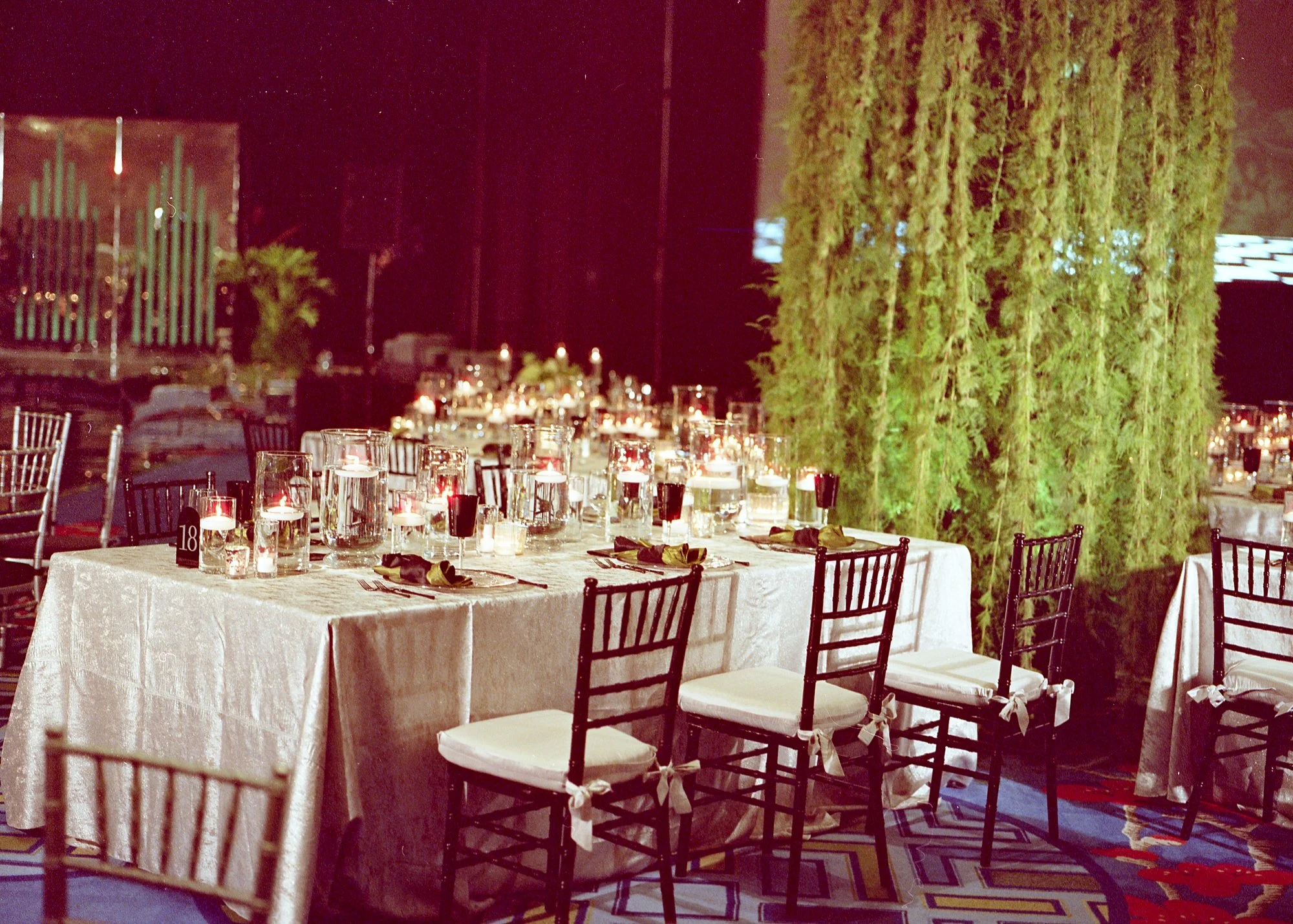 800T CineStill20240219_13243477_06.jpg