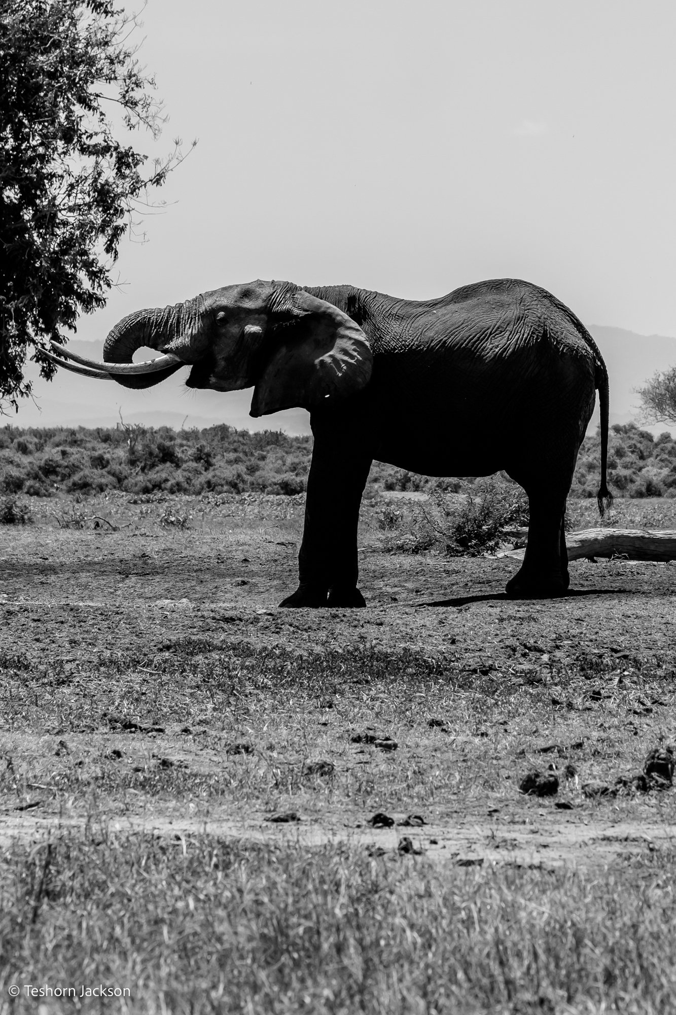 Kenya Safari-51.jpg