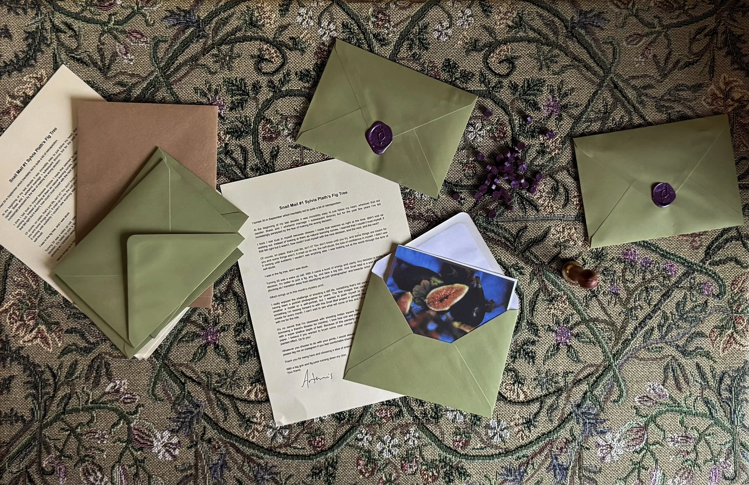 snail mail fig promo 1.jpg