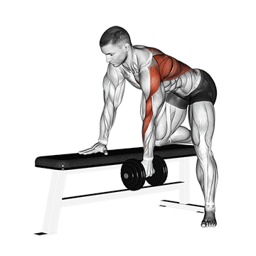 Dumbbell-Bent-over-Row_back_Back_360.gif