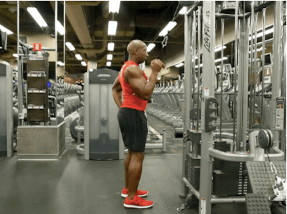 (Standing)+CBL+SA+Triceps+Extensions+(FACING+IN)_400p.gif